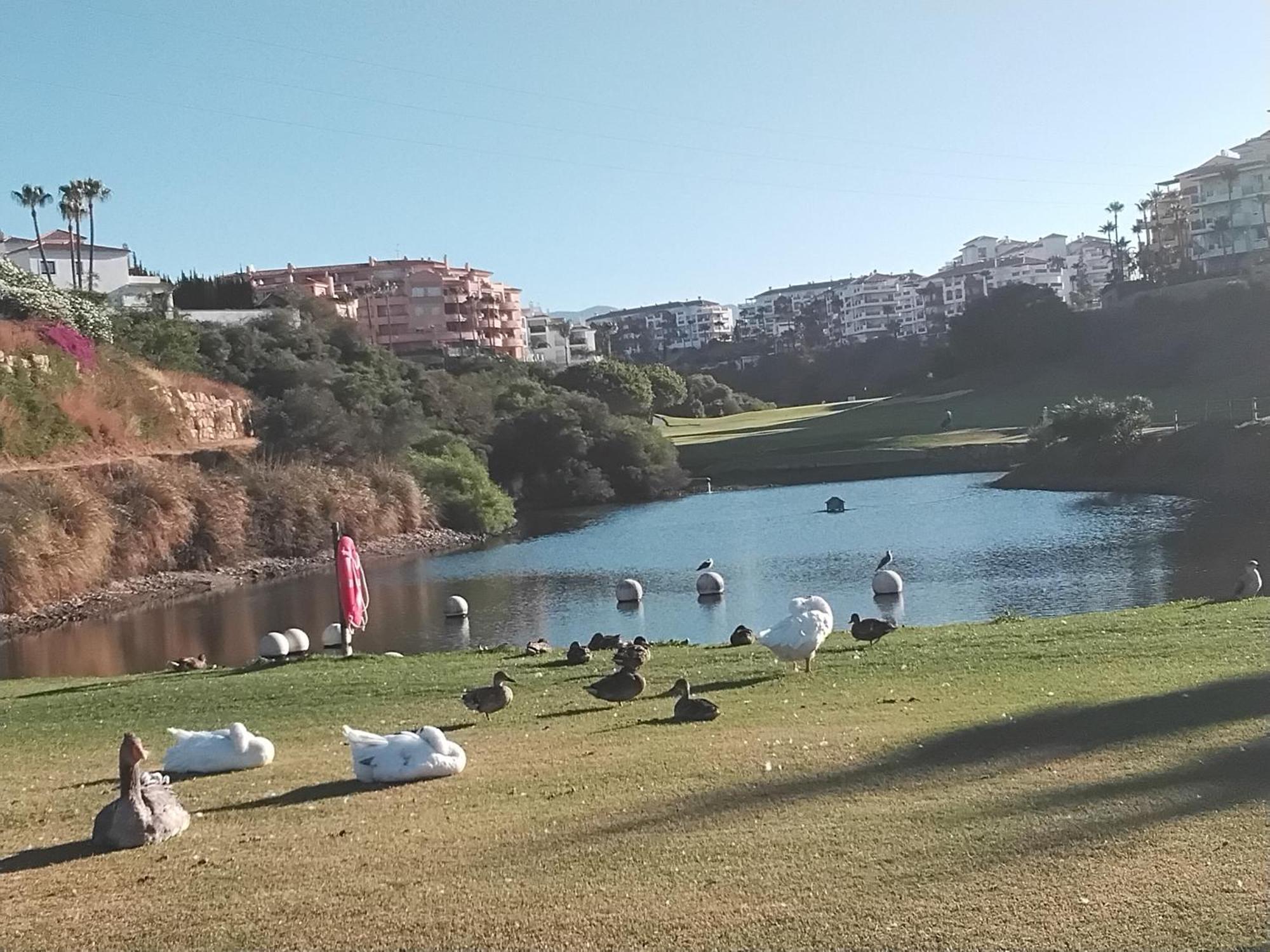 Apartamento Island Of Riviera Golf Mijas Costa *