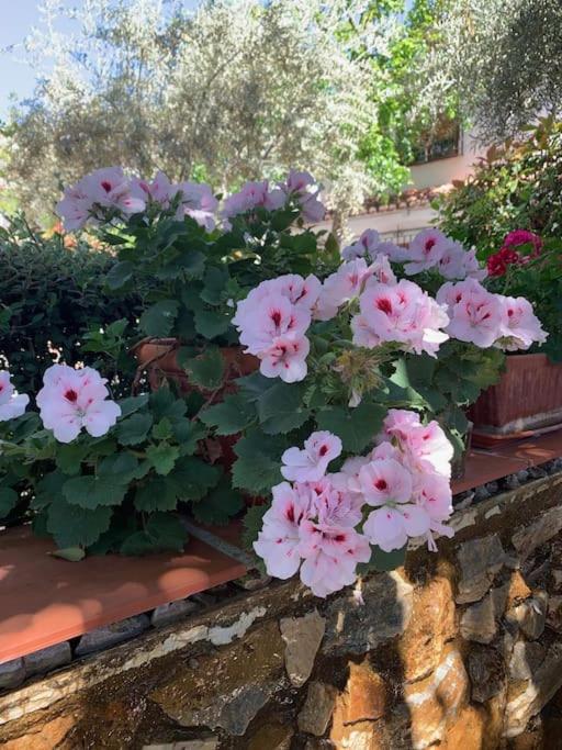 Сasa de vacaciones Casa Cactus In The Heart Of The Montes De