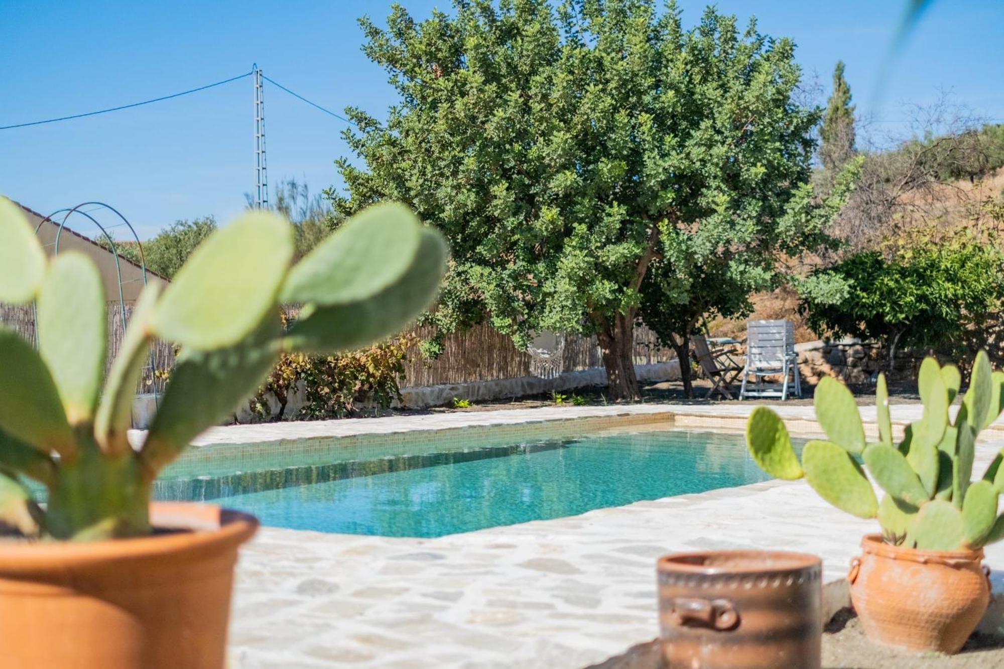Cayetana - Spacious 4-bedroom With Private Pool Terrace & Bbq Villa Málaga