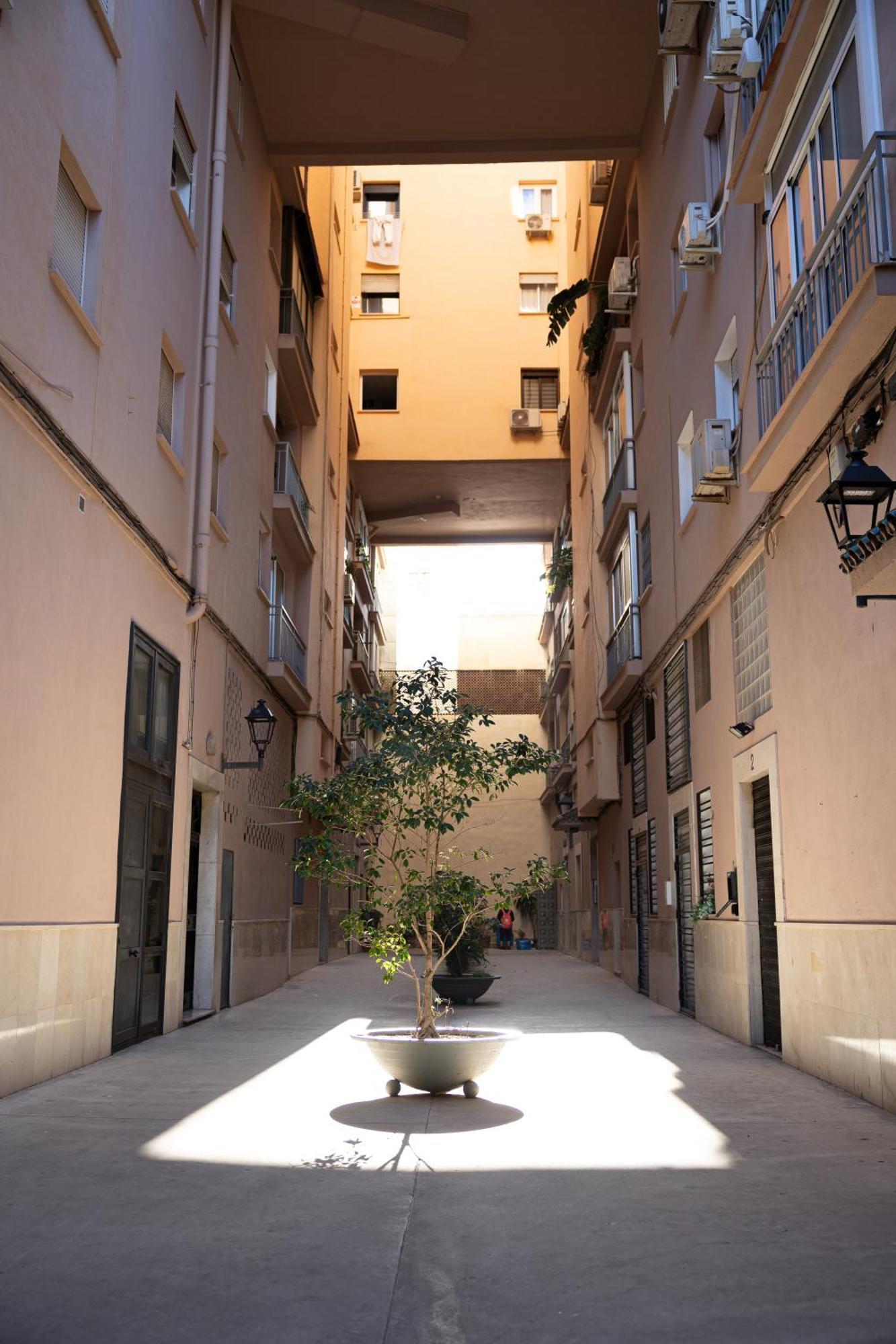 Junto A La Casa Natal De Picasso