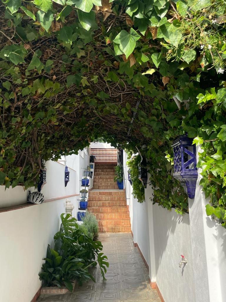 Villa Villamaria *