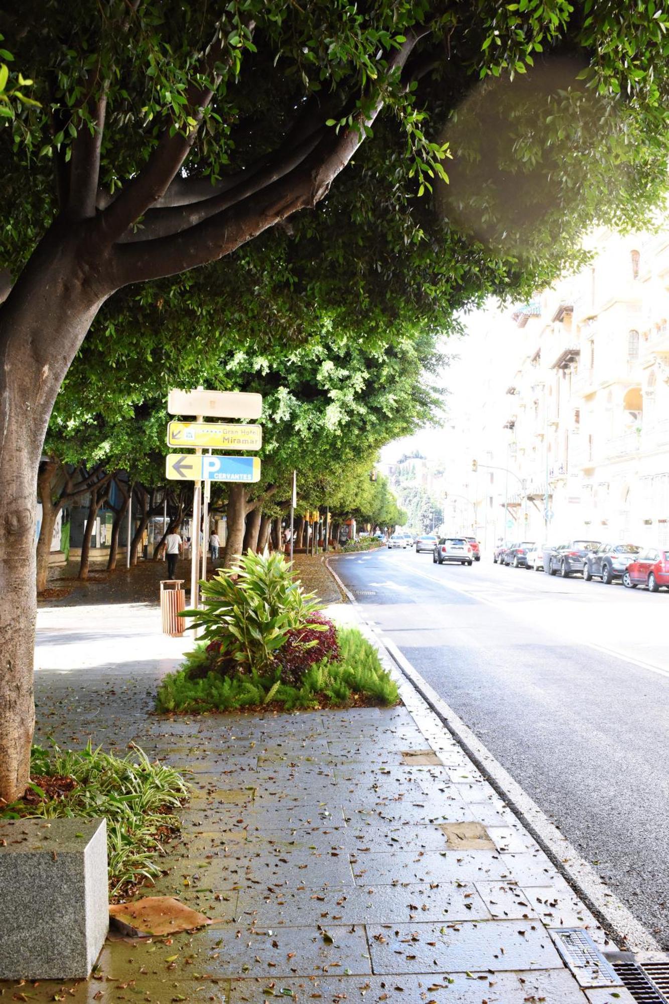 Malagueta's Cozy With Parking And Swimming Pool Appartement Málaga
