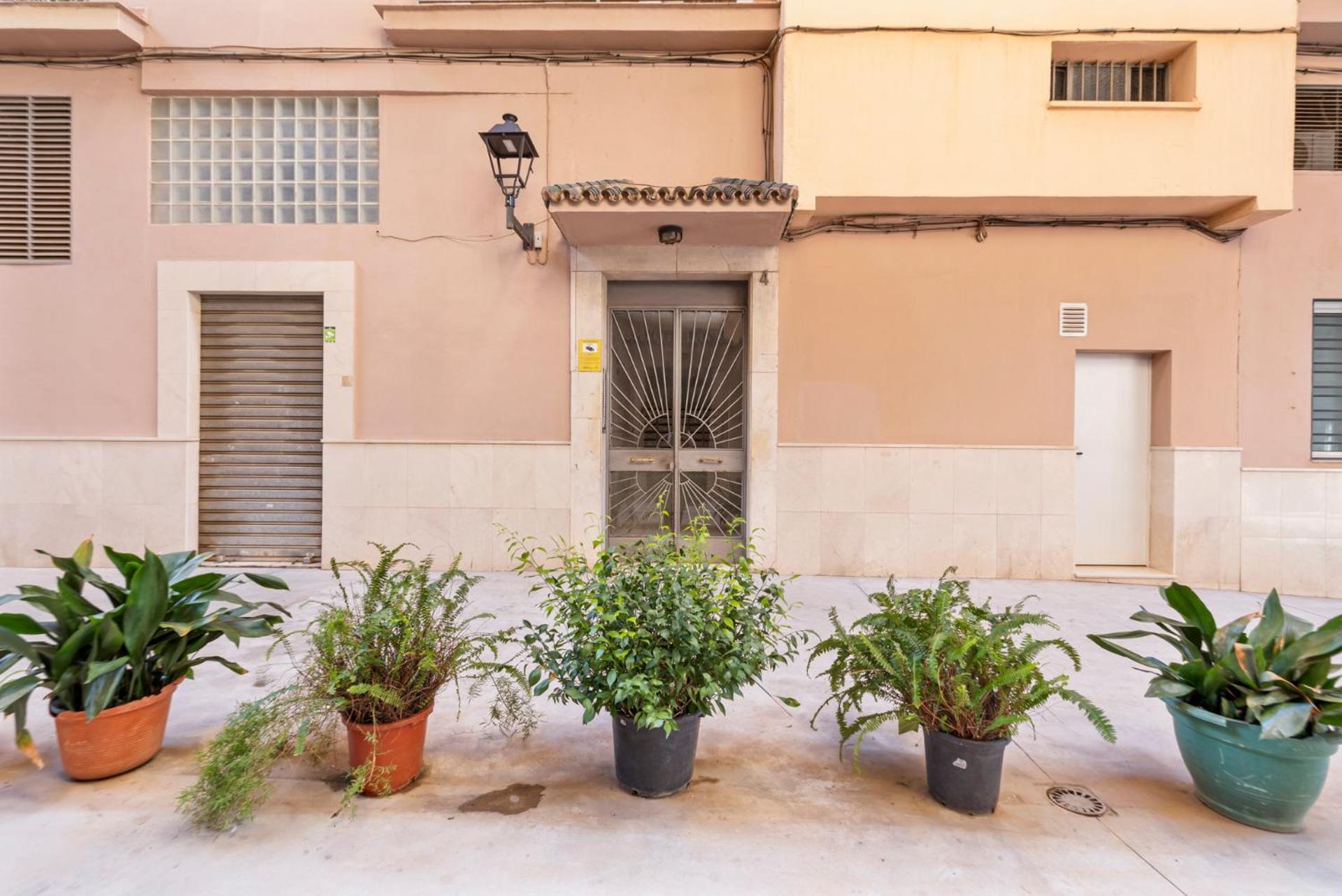 Picasso House Malaga