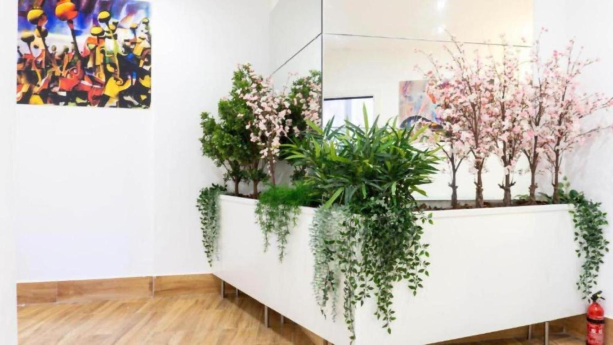Ilustre Bed & Breakfast Málaga