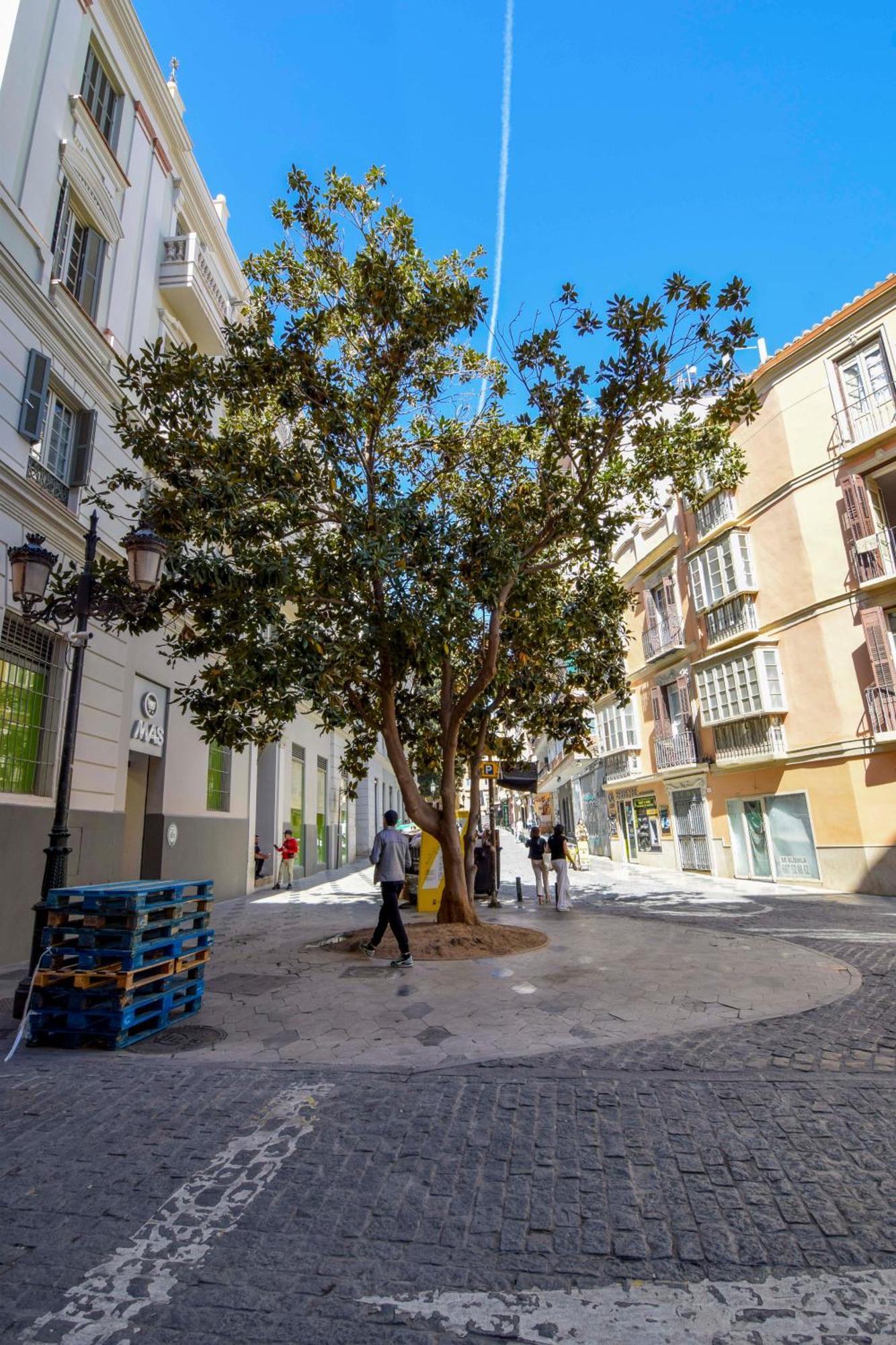 Apartamento Letplanet Plaza Del Teatro Premium Málaga