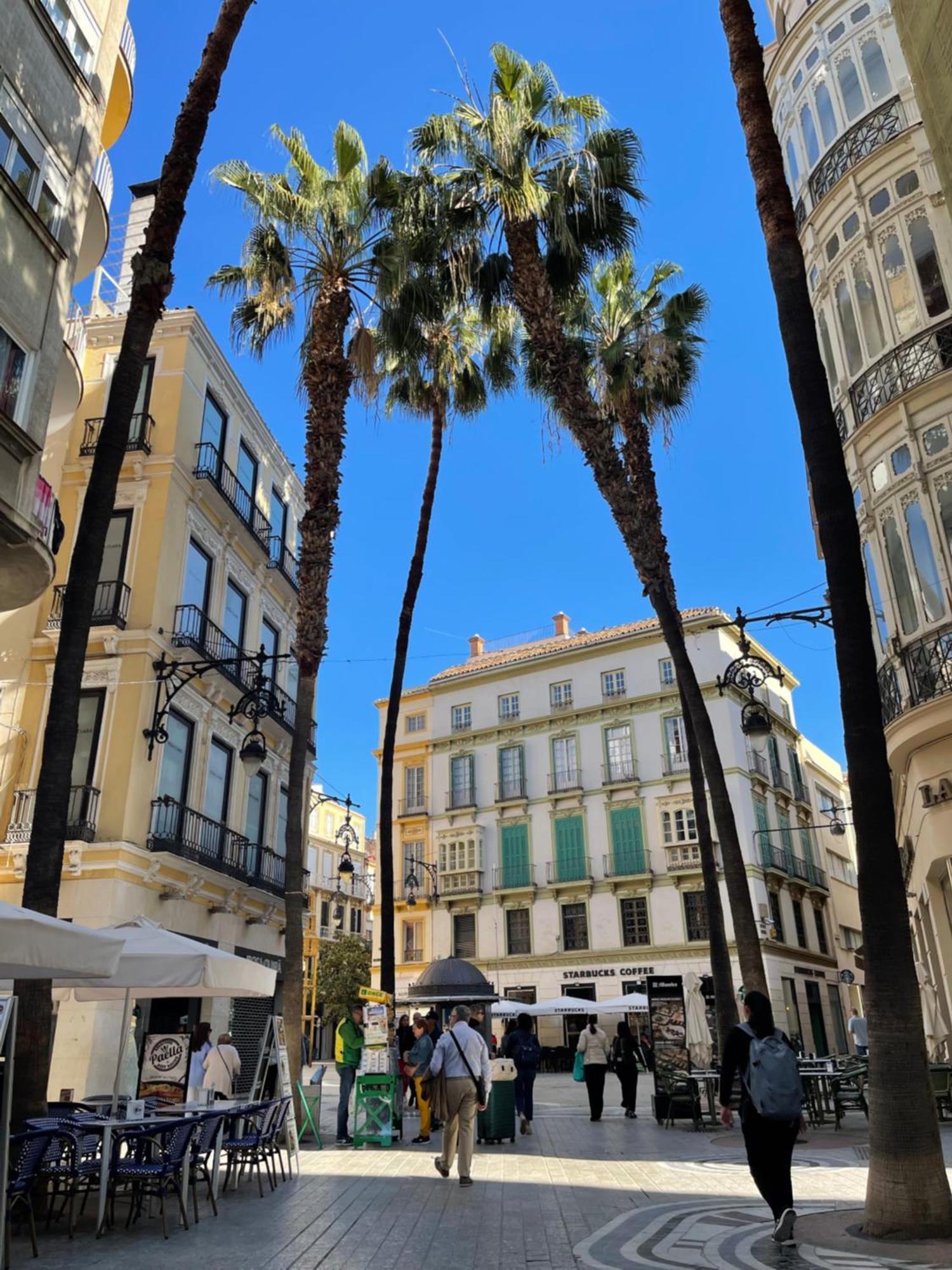 Apartamento Picasso Centre 1c