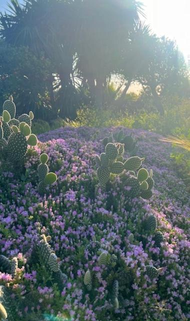 Casa Pipa Alhaurin El Grande - Vrijstaande Casita Met Prive Zwembad En Grote Tuin Casa de Férias *
