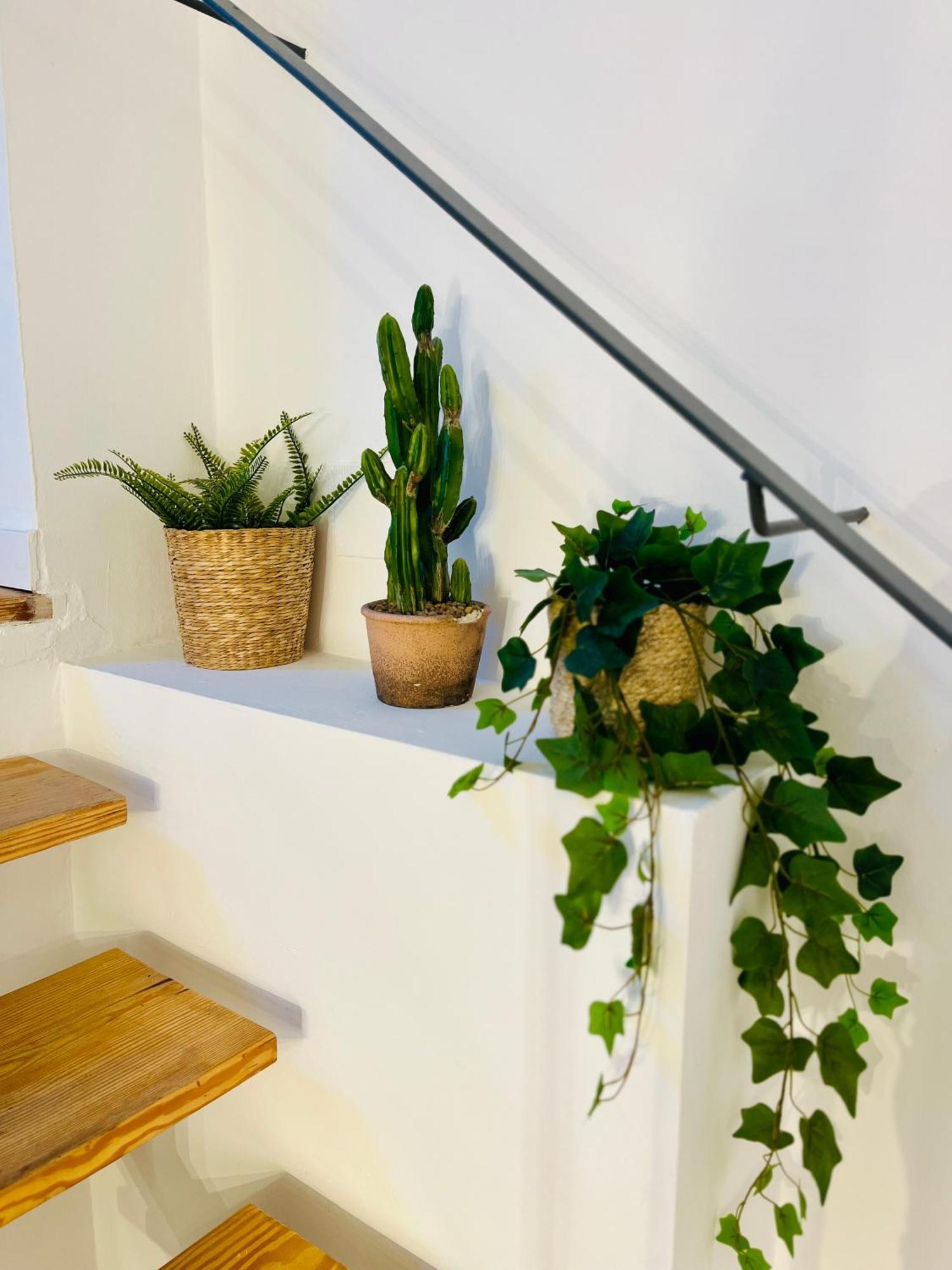 Bright And Cozy Duplex In The Heart Of Lejlighed