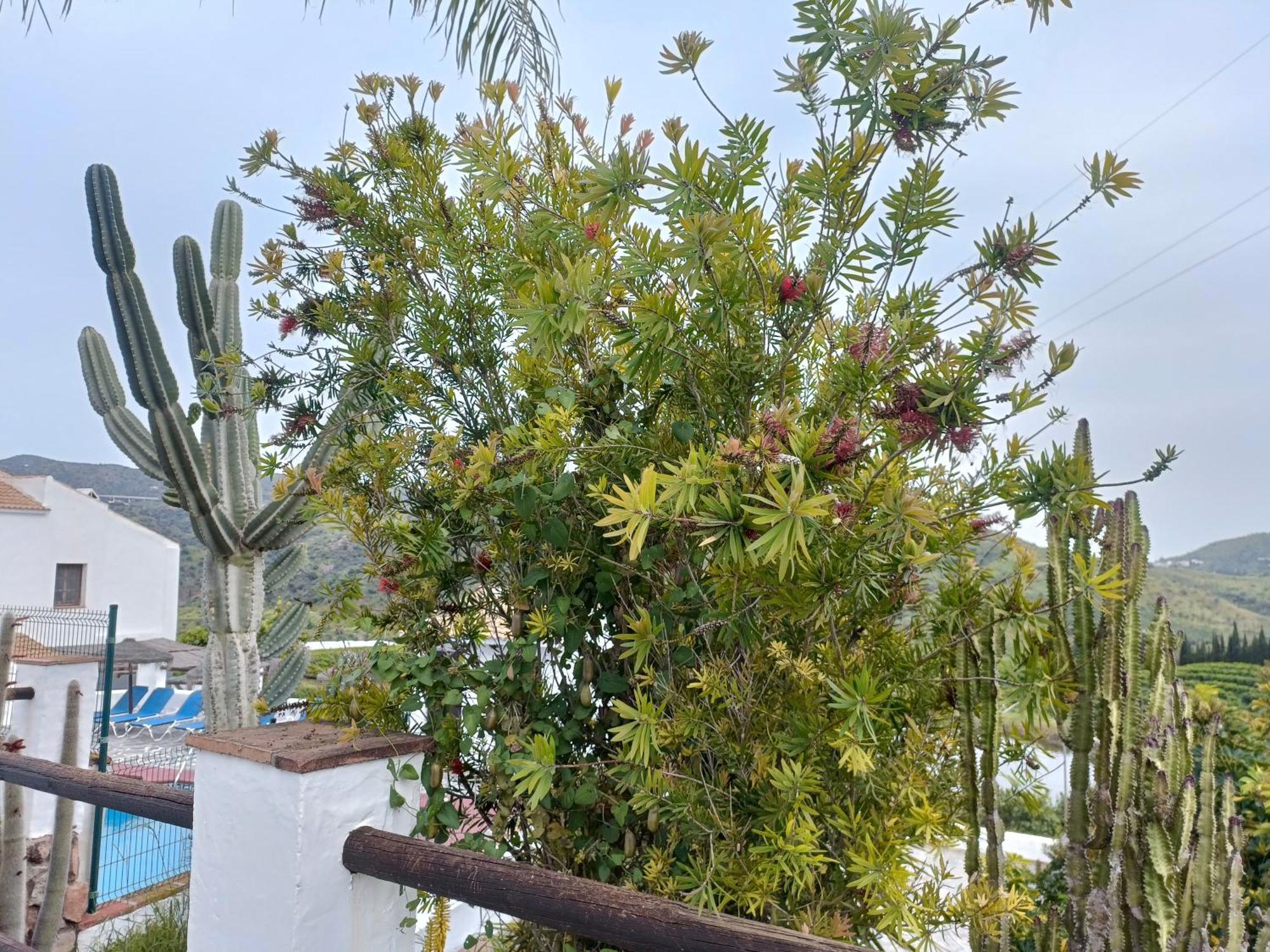 La Cochera *
