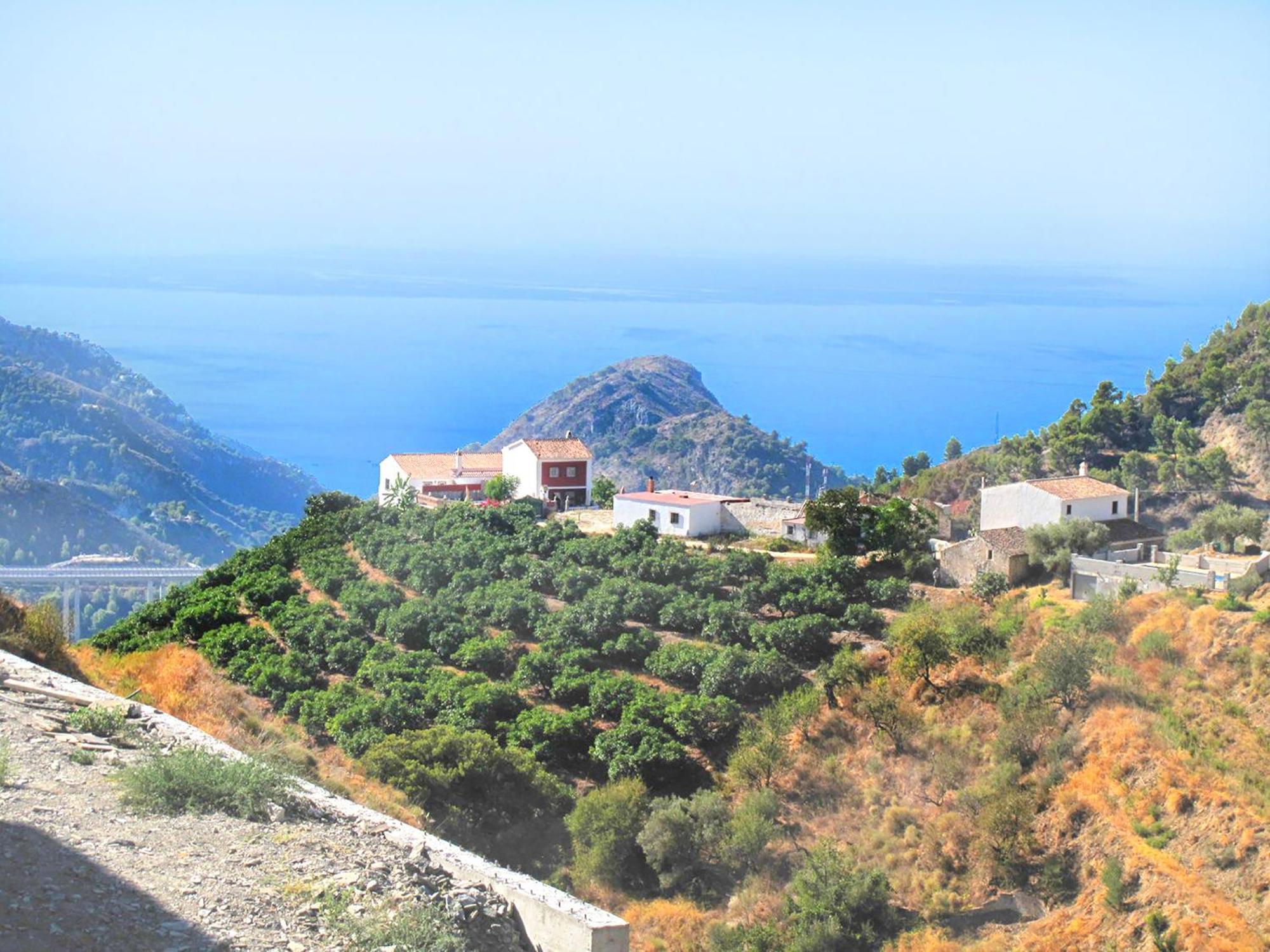 Villa Francisca Malaga