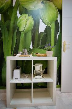 Holidays2malaga Center 3* Malaga