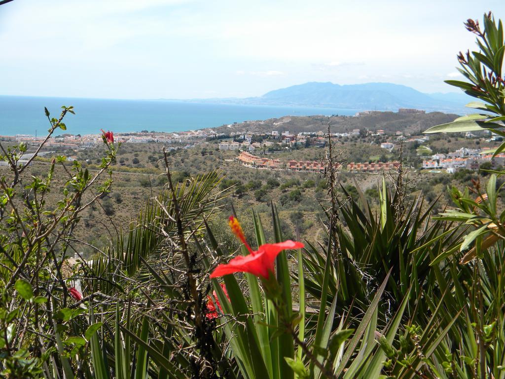 La Biznaga