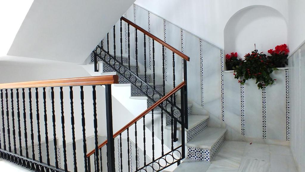 Centro Albergue Málaga