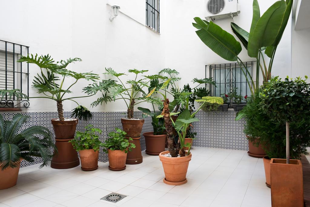 Urbanchicmalaga 3 Bedroom Spacious Quiet Historic Apartment