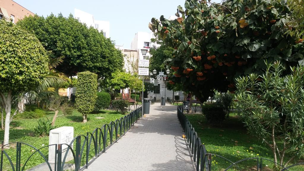 Don Rodrigo City Centre Apartamento Málaga