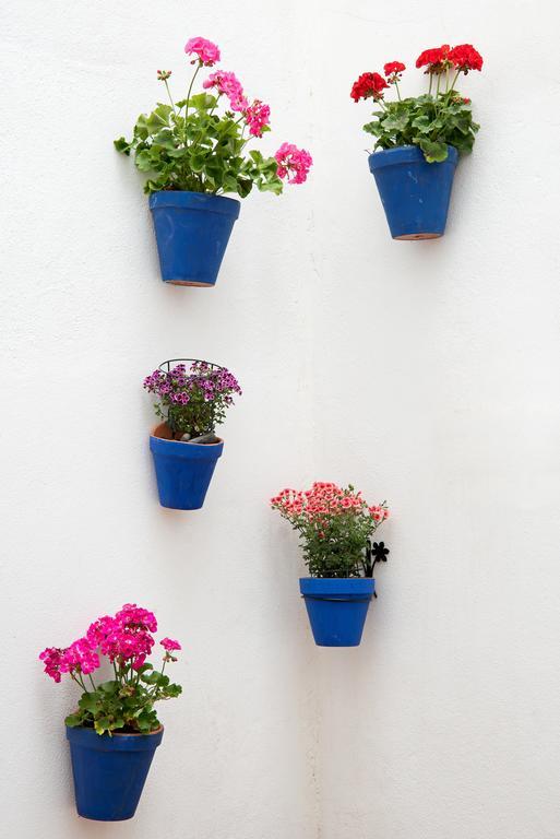 Apartamento Urbanchic Carreteria Málaga