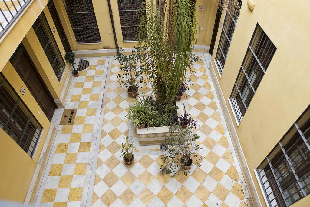 Suncity Loft Pozos Dulces * Málaga