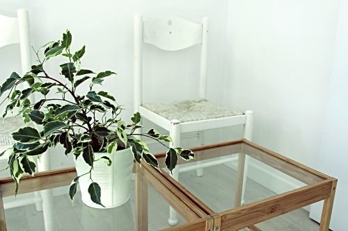 Dulces Dreams Boutique 3* Málaga