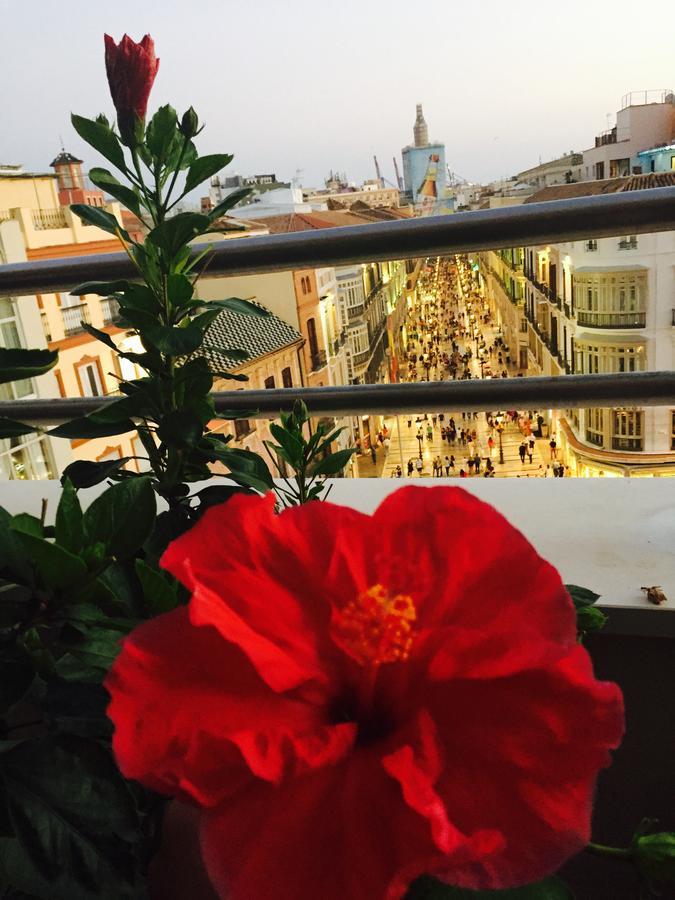 Larios Suites Apartamento