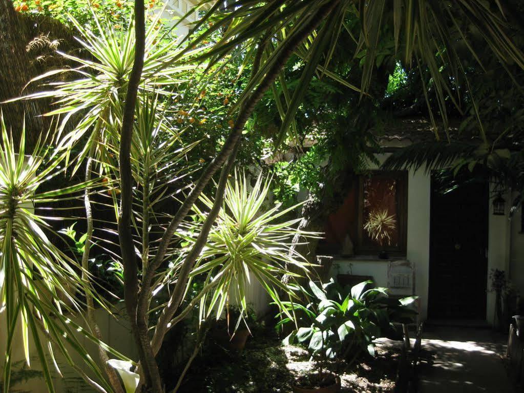 Acacias 2* Málaga