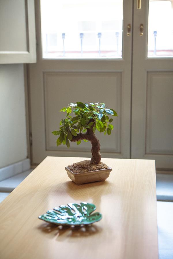 Apartamento Livemalaga Granados Málaga