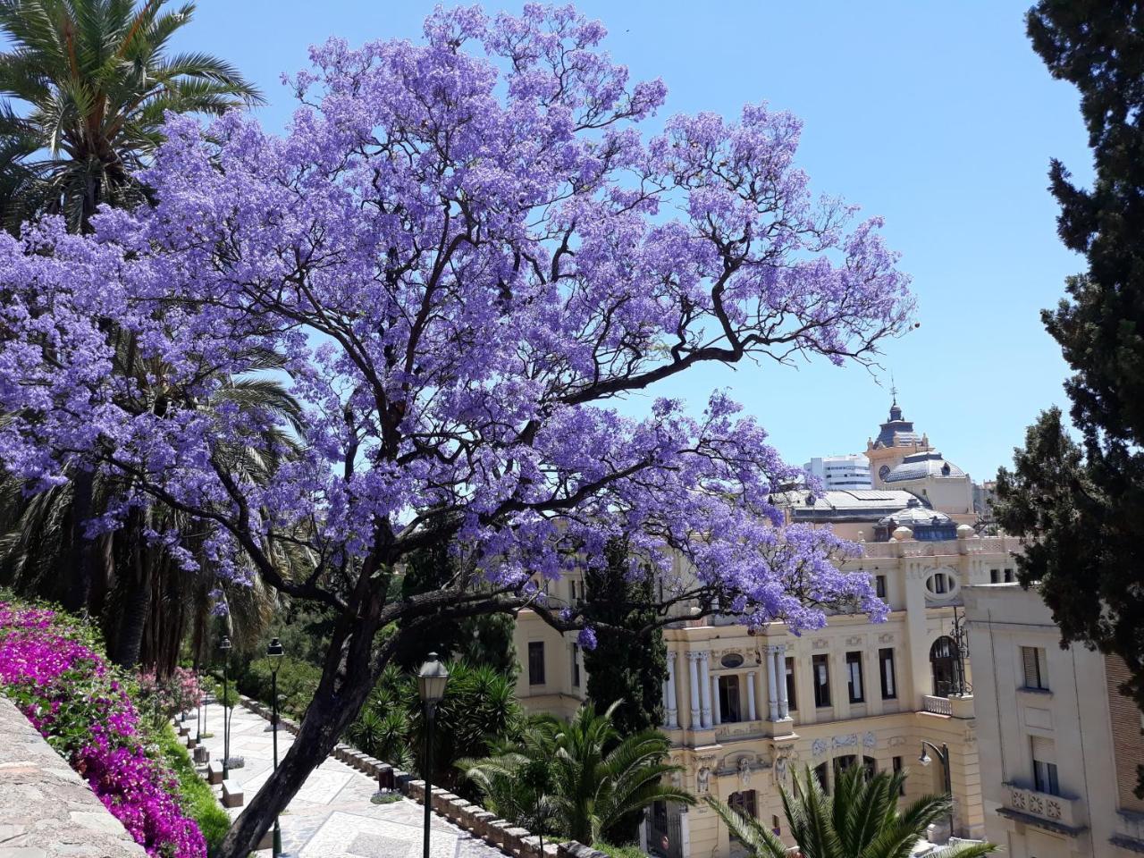 Apartamento & Away In The Heart Of Historical Town Of *