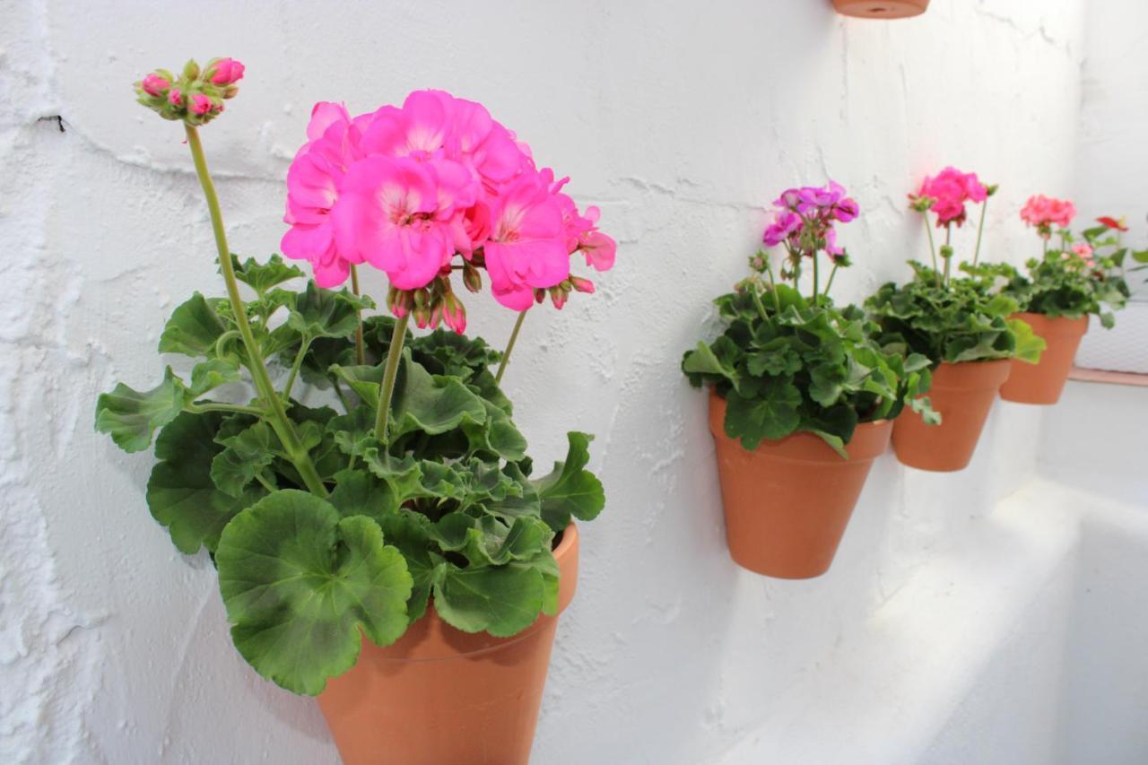 Apartamento Sun Flat