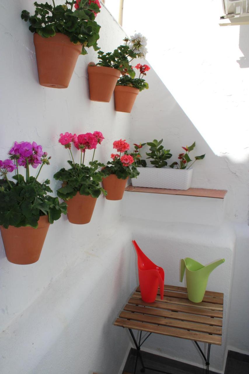 Sun Flat Apartamento *