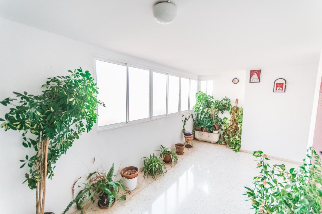 Cubo's Apartamento Origen Del Sur Malaga