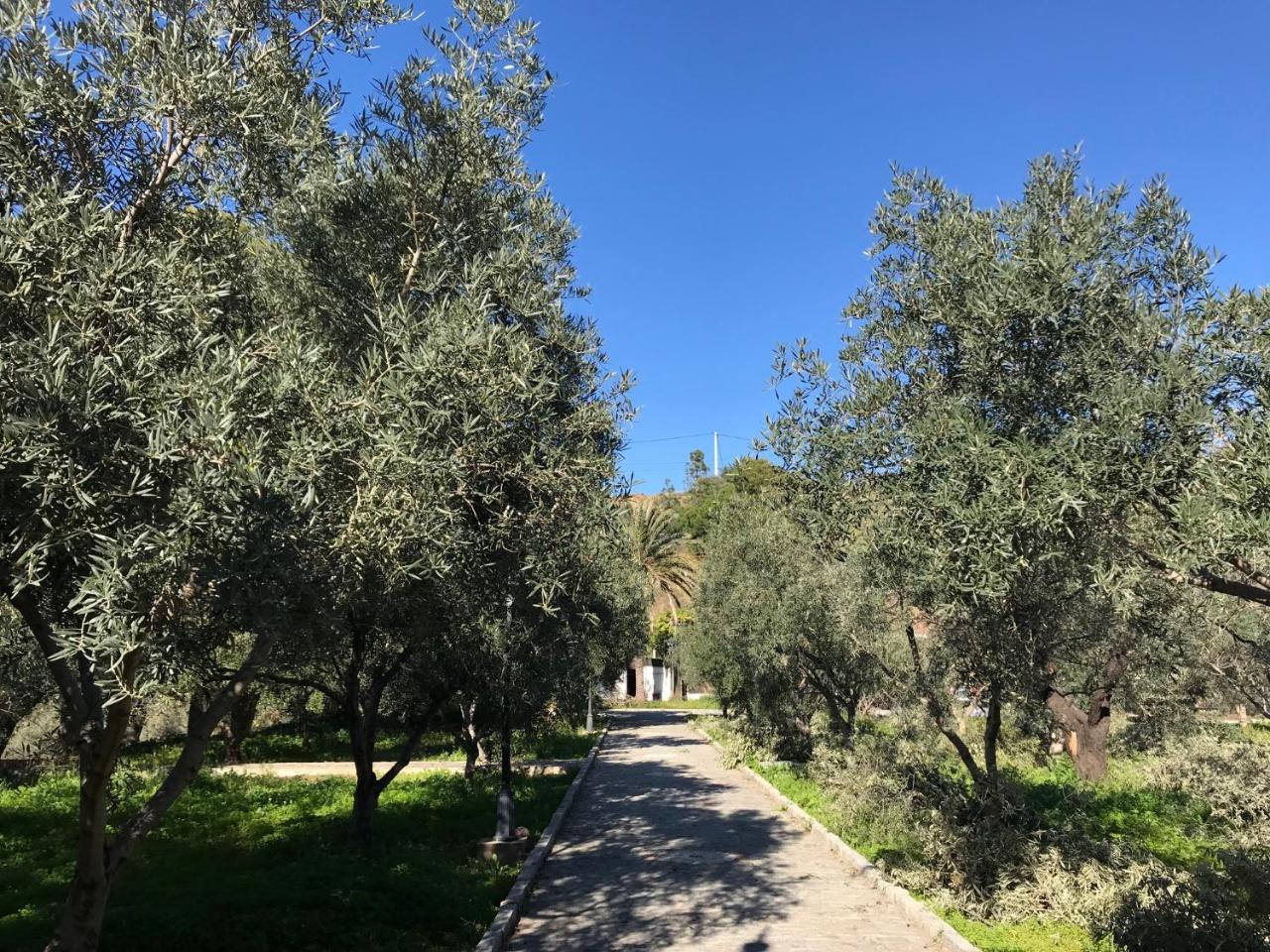 Con Encanto En * Málaga