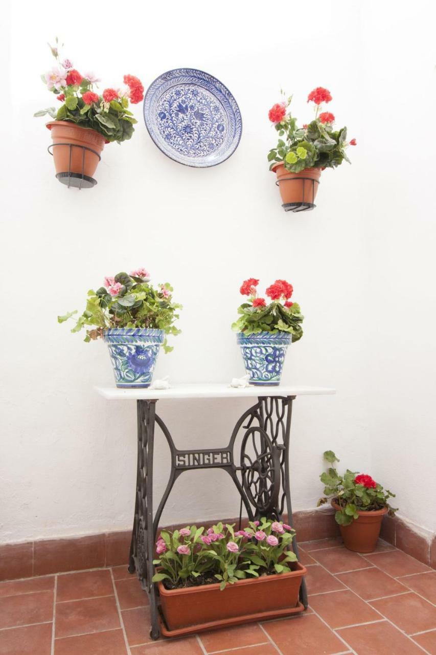 Apartamento Center Flat Comedias Street