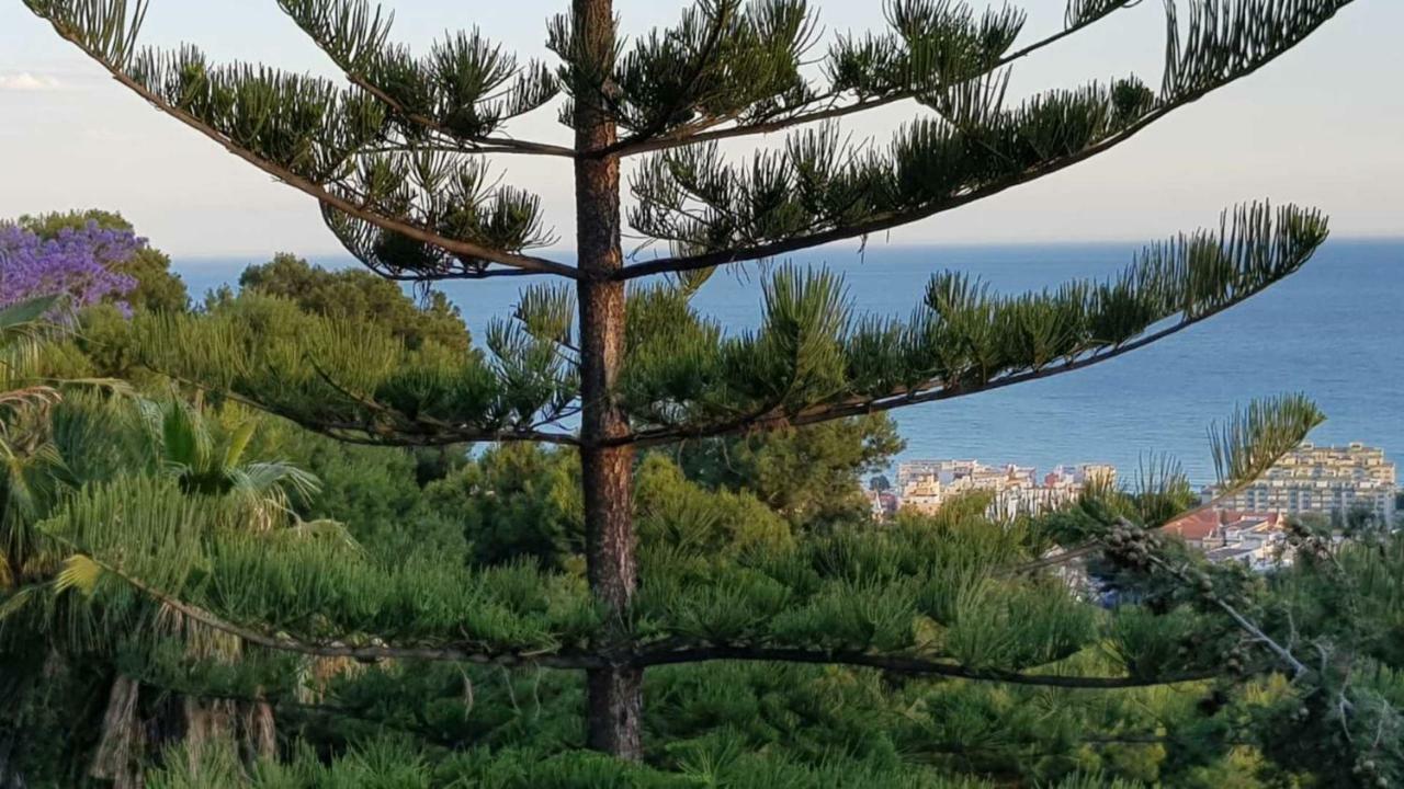 Rentcostadelsol Pinares-malaga