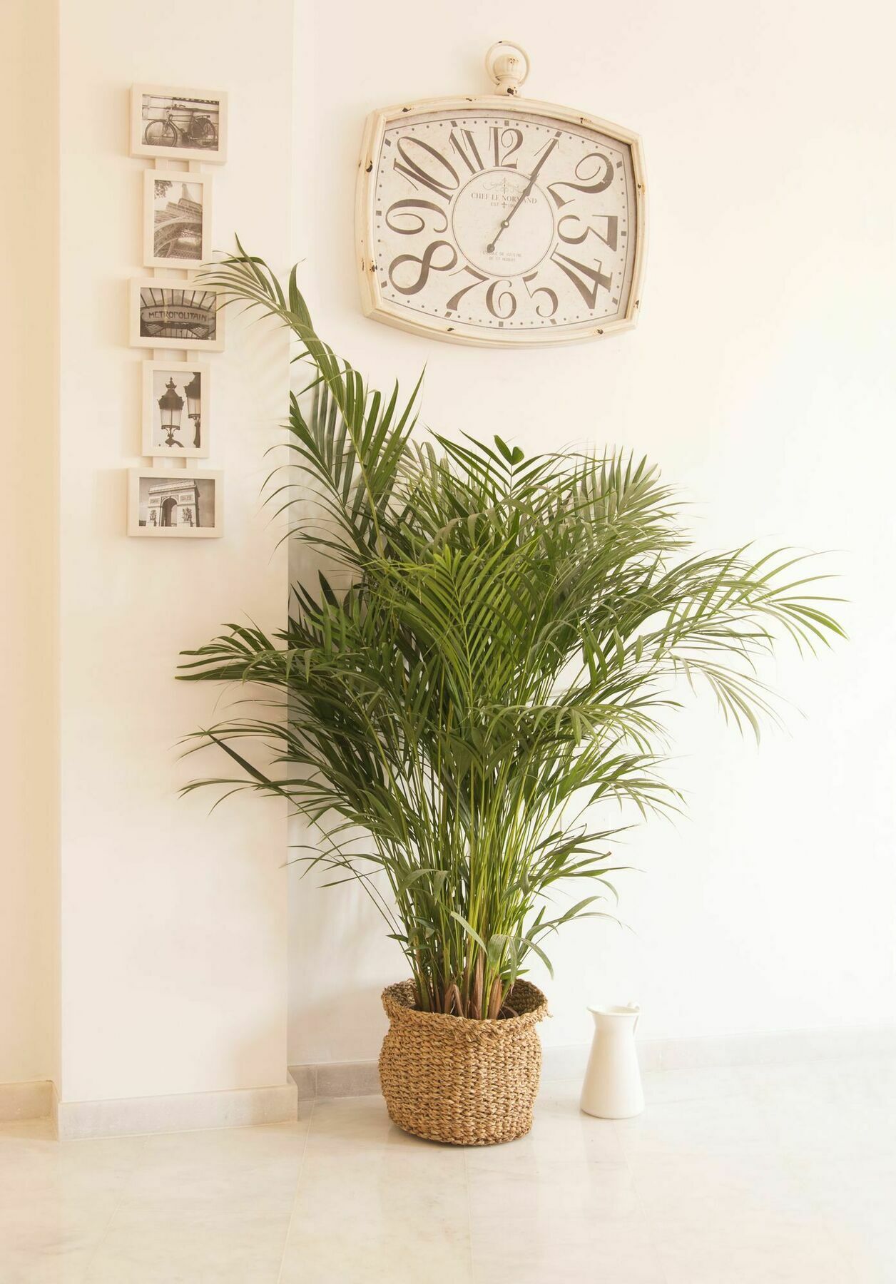 Apartamento Dona Gloria