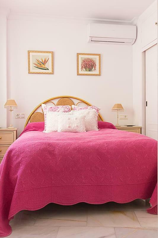 Mlg Center Plaza Apartment Malaga
