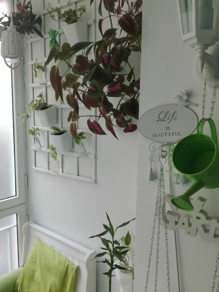 Apartamento E&r Centro