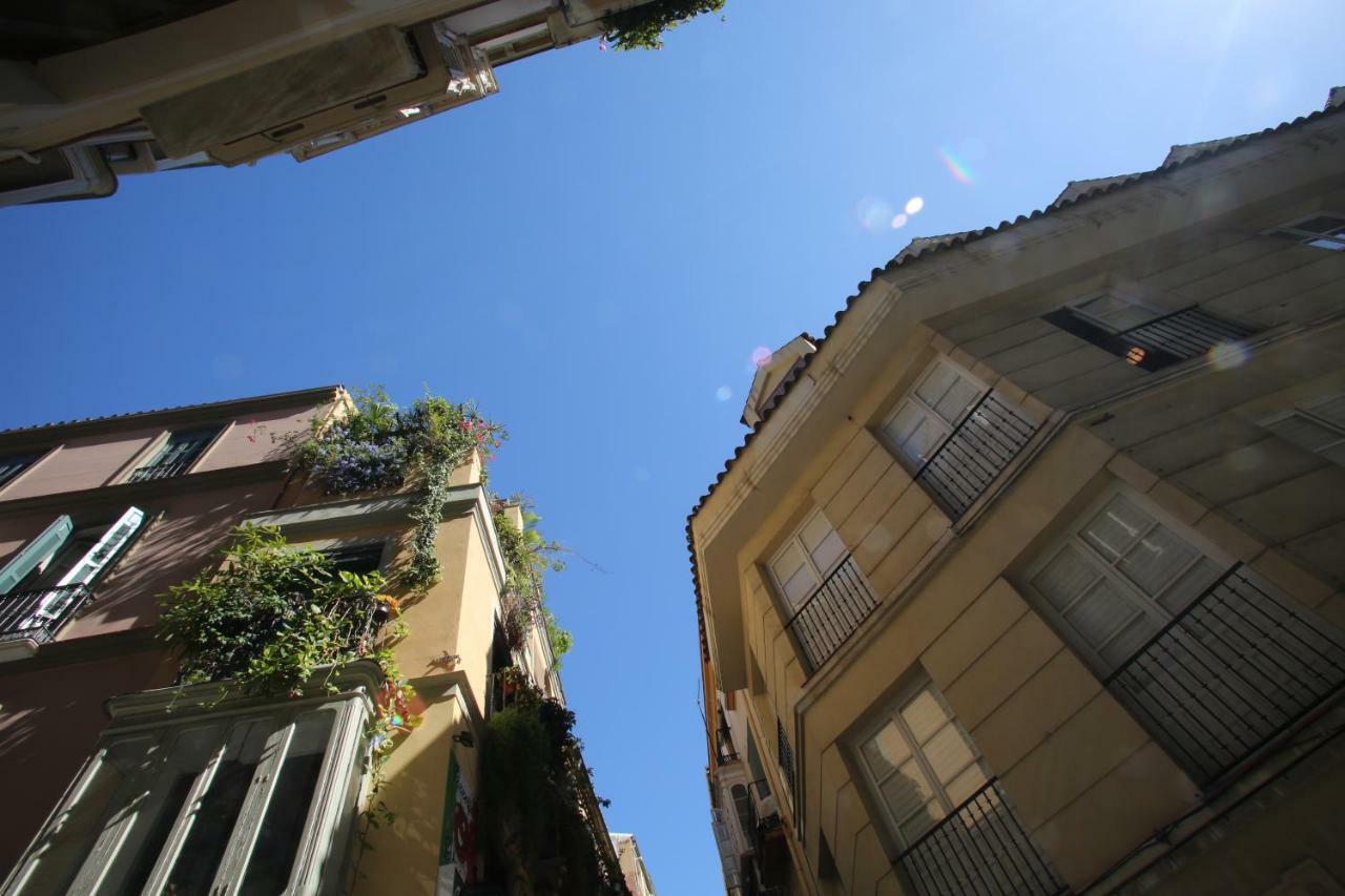 Moderno Piso En Centro Historico Malaga