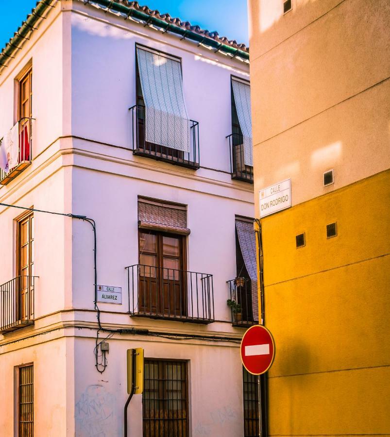 Don Rodrigo Málaga