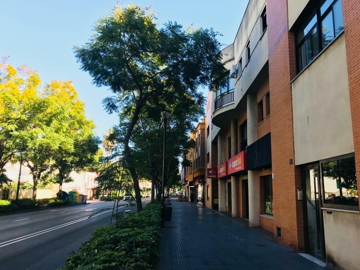 Loft Playa * Malaga