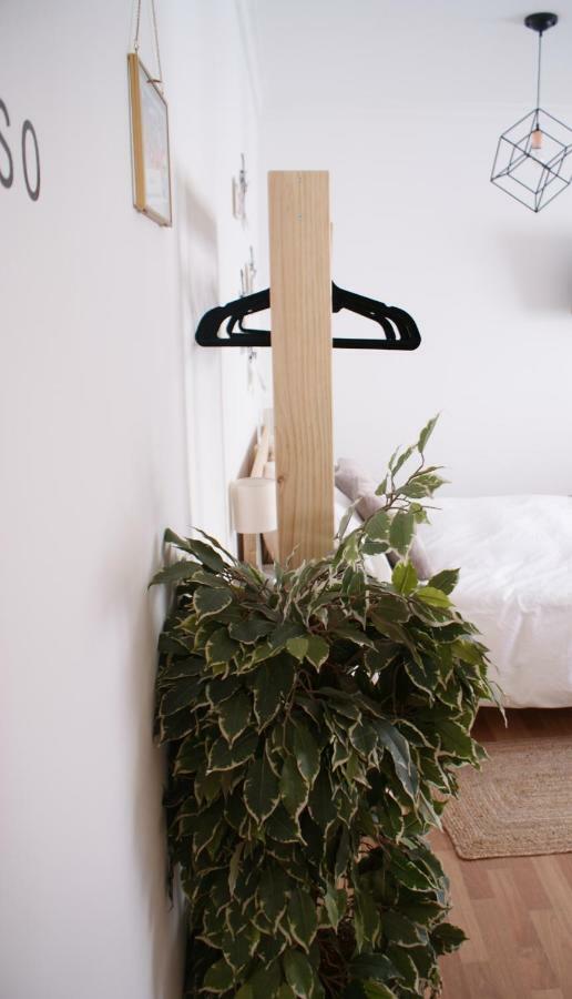 Appartement Calma Chicha