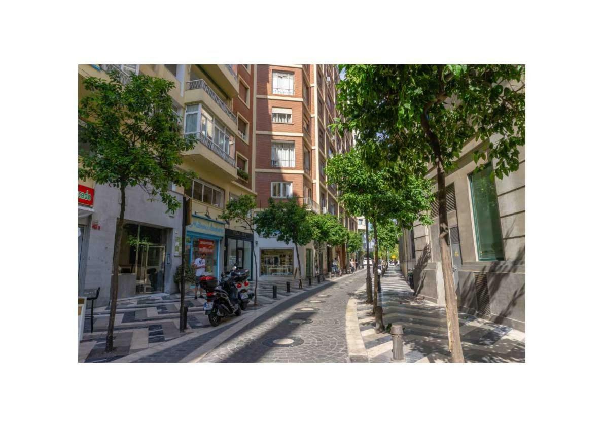 Sancha De Lara Málaga