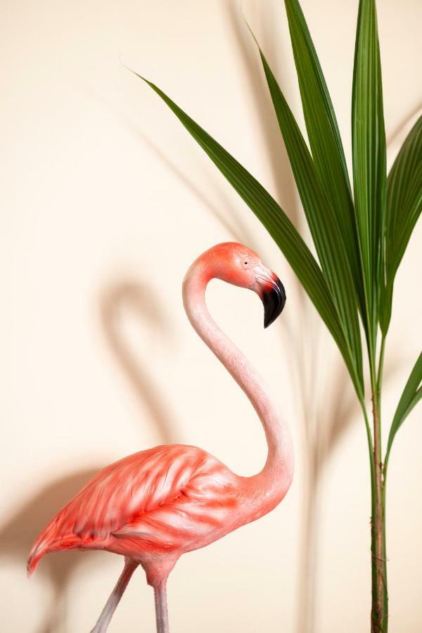 Flamingo Málaga