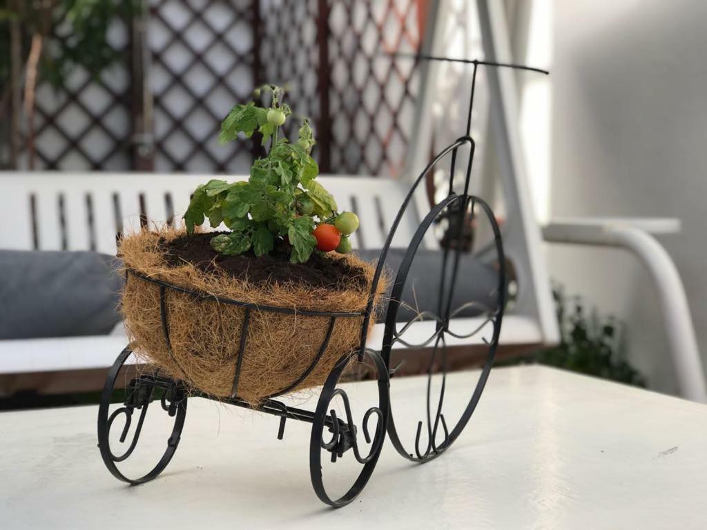 Luxury Sea Home&terrace Vakantiehuis