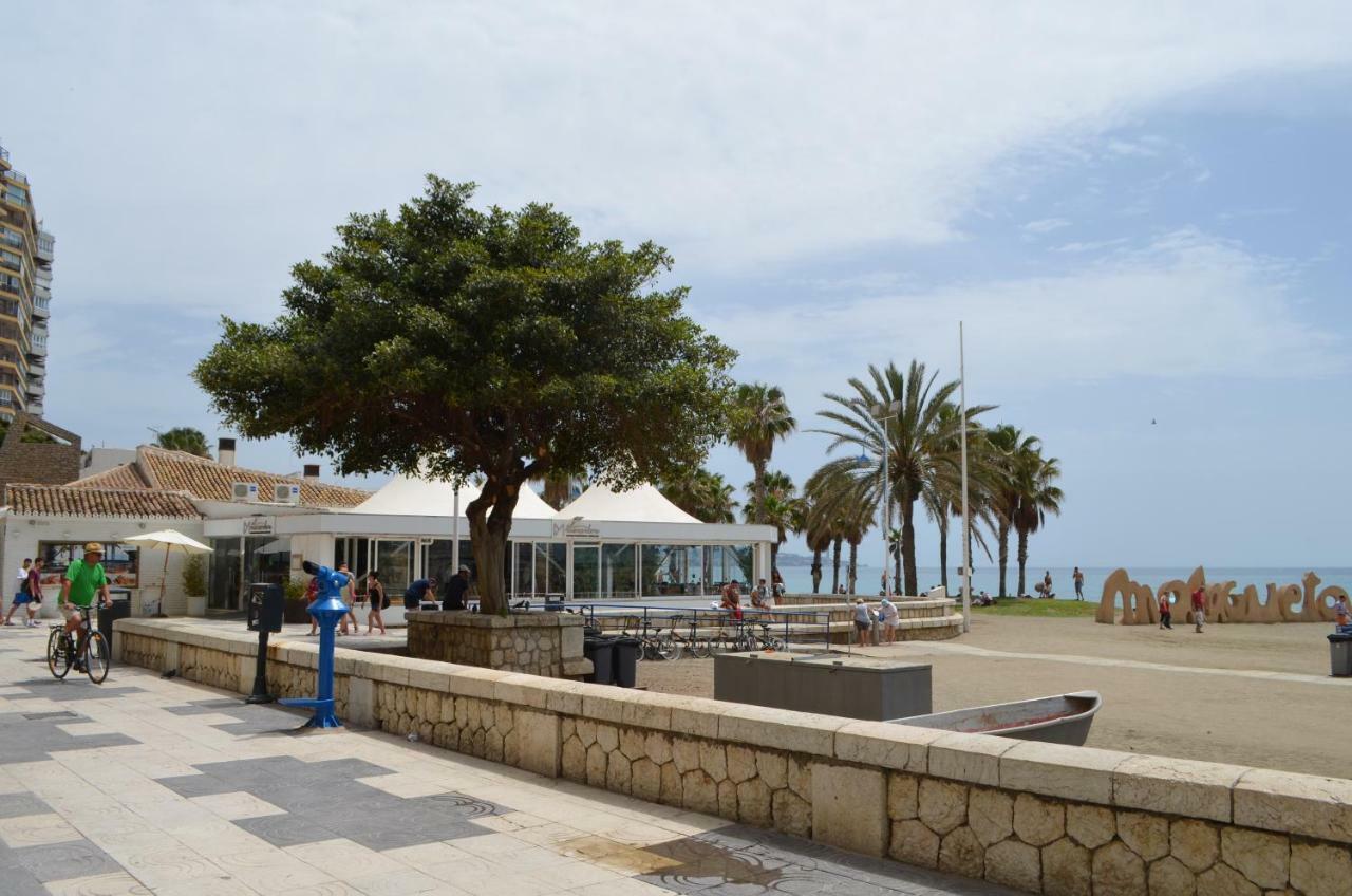 Homely Plaza Montano Málaga