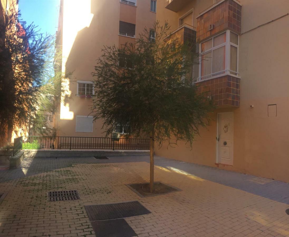 Guest house Flamenco Camaron 2*