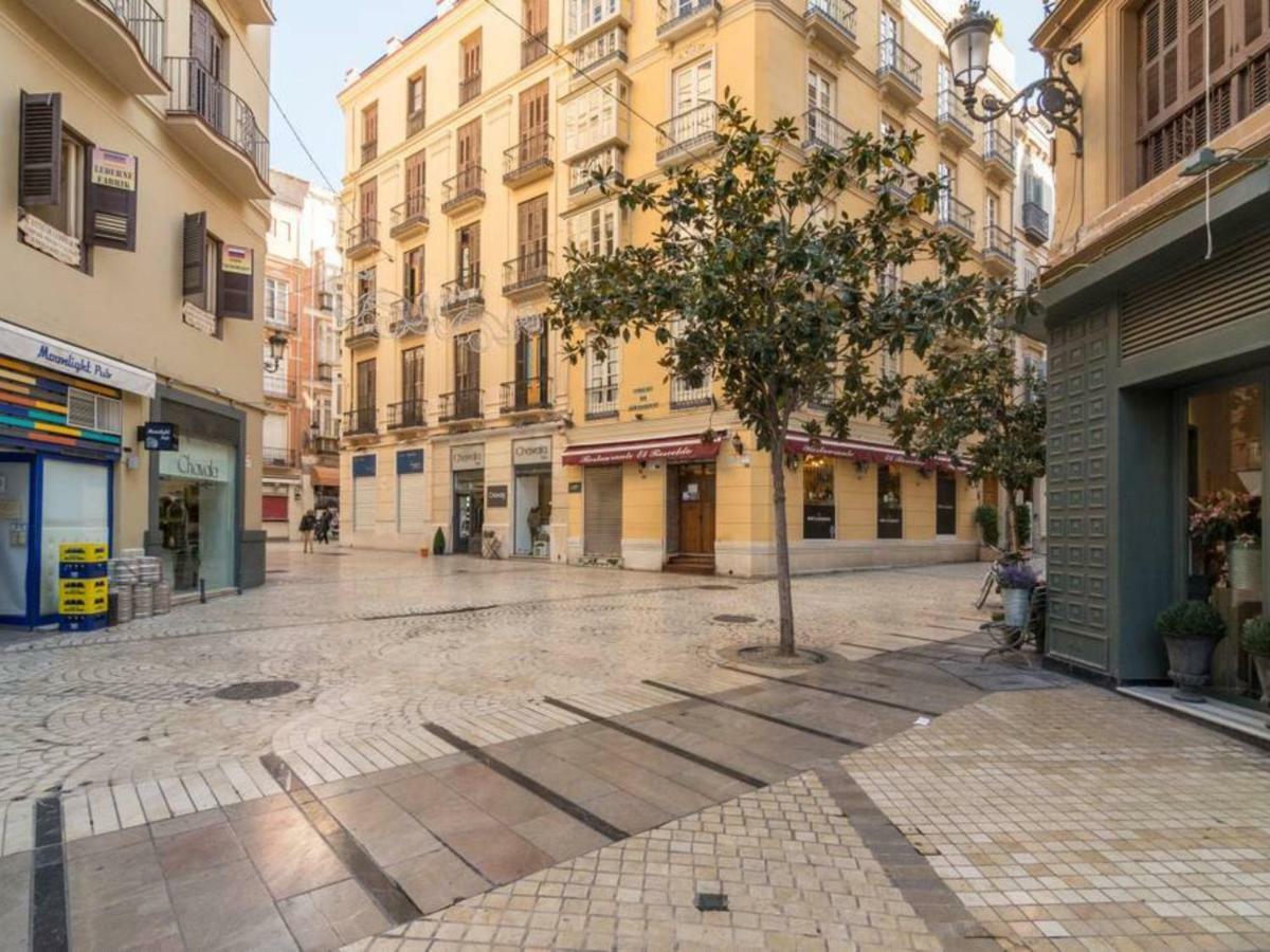 Larios Penthouse With Terrace And 2 Bedrooms Apartment *