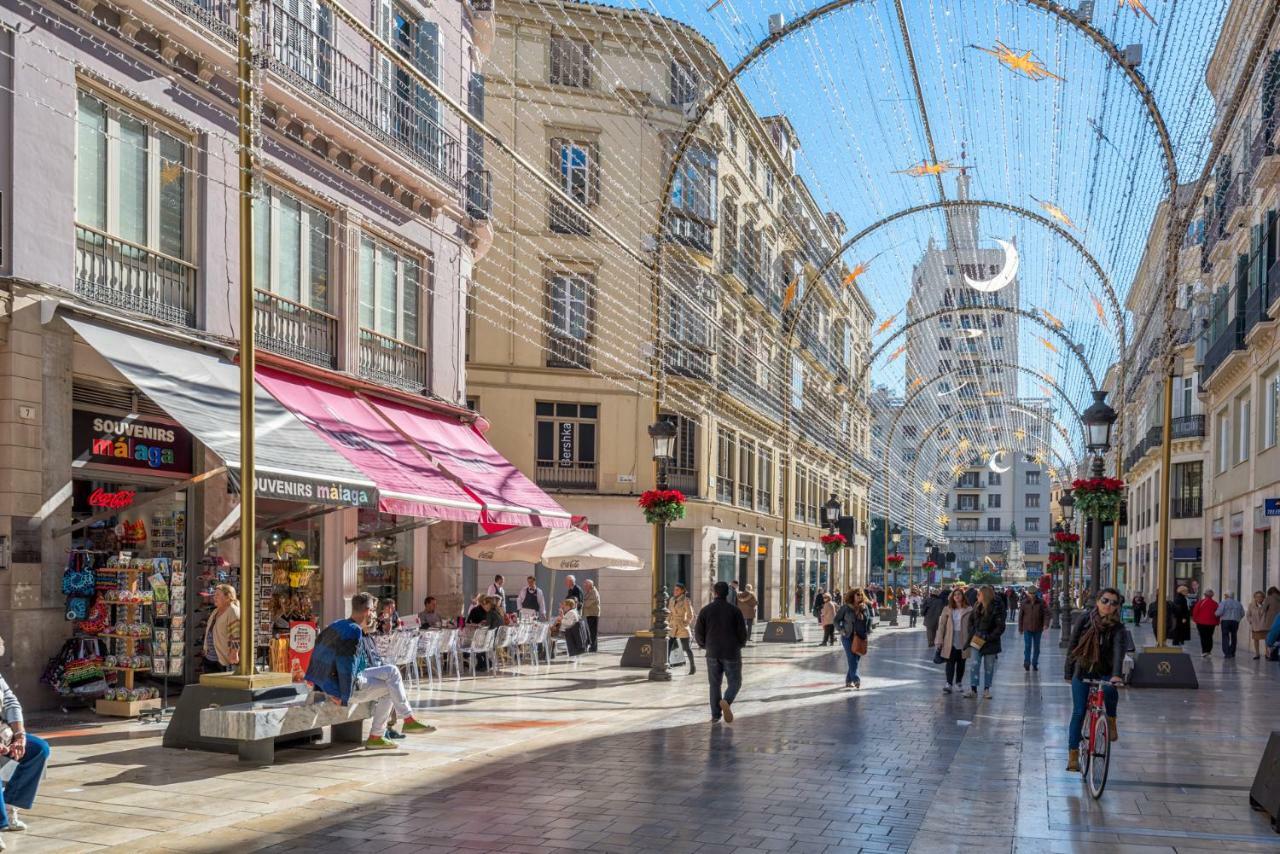 Larios Penthouse With Terrace And 2 Bedrooms