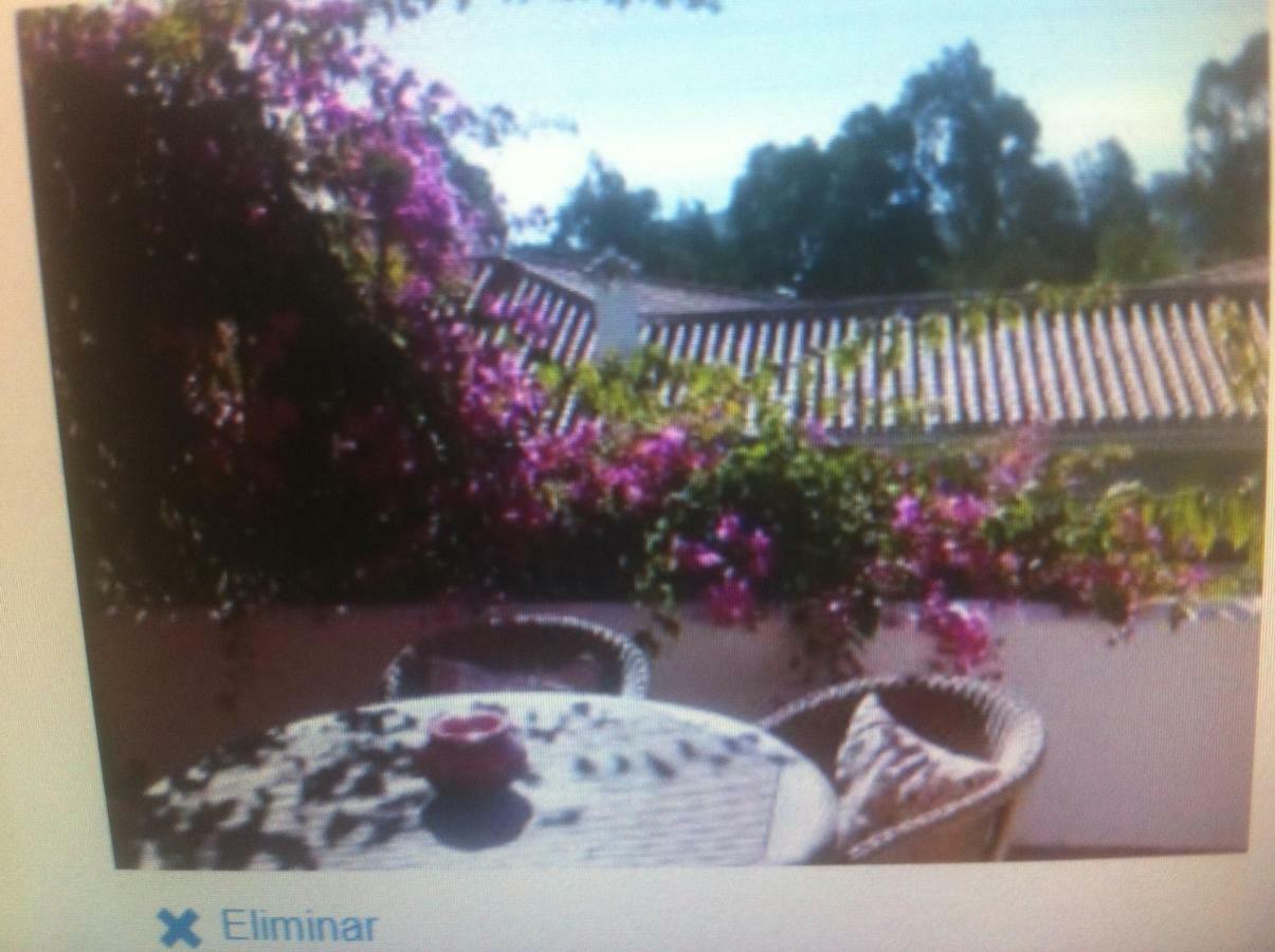Paisible Appartement *