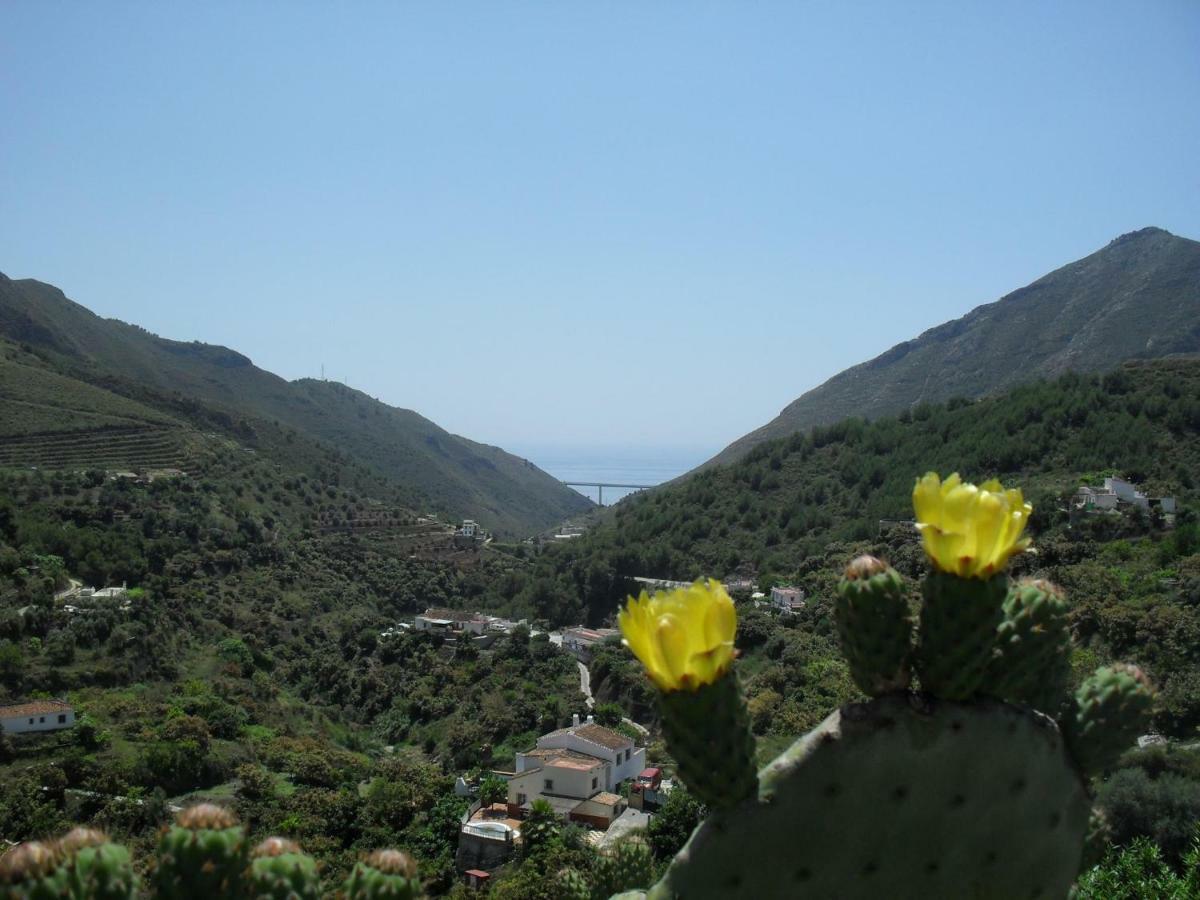 Holiday home Cortijo Buenavista