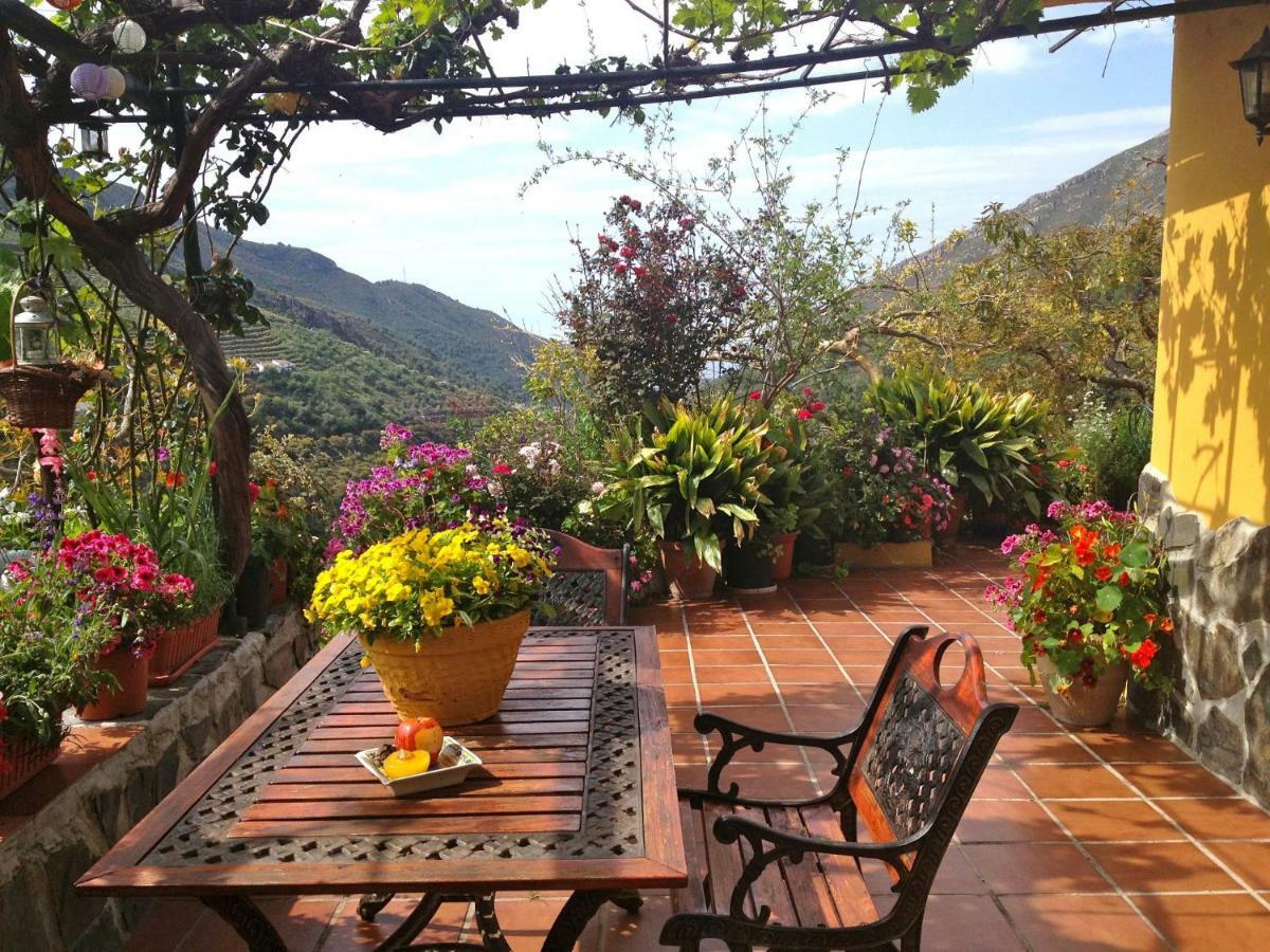 Holiday home Cortijo Buenavista