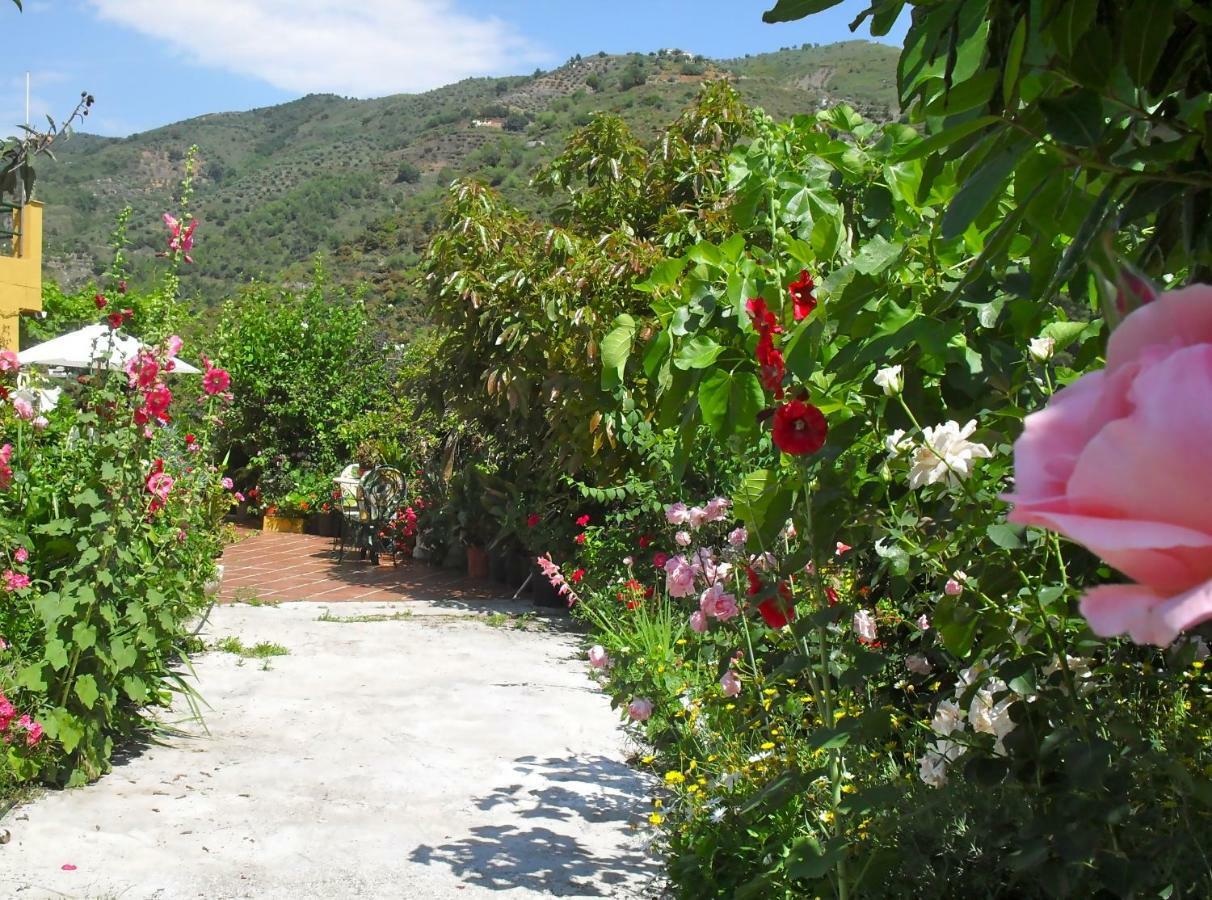 Holiday home Cortijo Buenavista Malaga